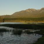 yrtleford - Picnic al lago Buffalo.